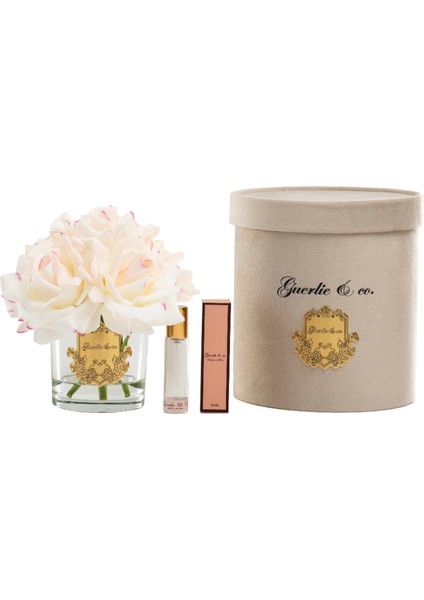 Krem Pembe 5 Gül Gold fiyatları