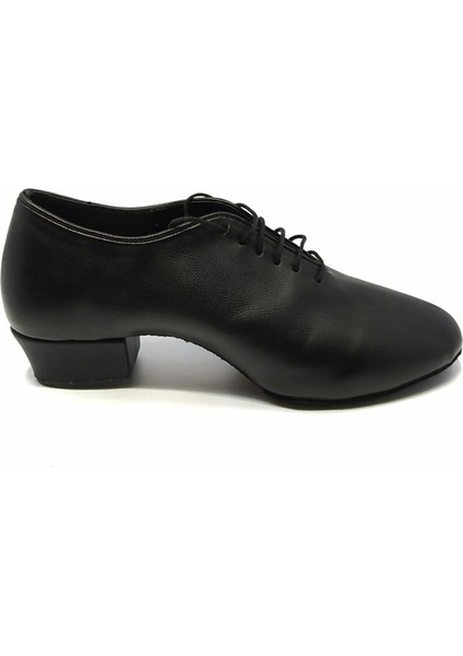 Dans Ayakkabısı modelleri