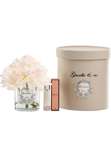 Krem Pembe 5 Gül Gümüş fiyatları