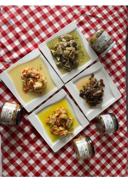 Kapya Biberli Kalp Enginar Salata Konserve fırsatları