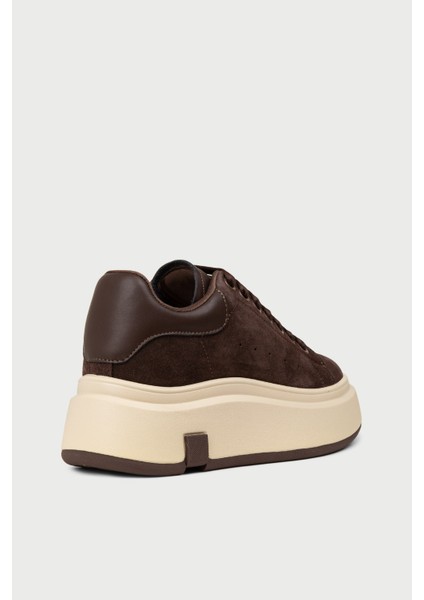 Kadın Hakiki Süet Kahverengi Sneaker - 25361ZKHVC01 fiyatları