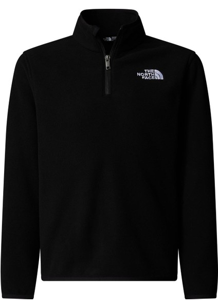 Teen Glacıer 1/4 Zıp Pullover Genç Ceketi NF0A8CVGJK31
