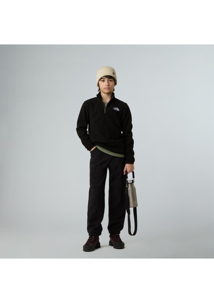 Teen Glacıer 1/4 Zıp Pullover Genç Ceketi NF0A8CVGJK31 fırsatları