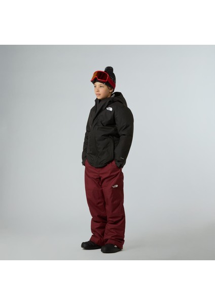Teen Snowquest Jacket Çocuk Ceket NF0A8EJQJK31 fırsatları