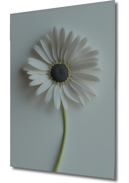 Minimalist Beyaz Papatya Dekoratif Ahşap Ev/işyeri/ofis Kare Tablo fiyatları