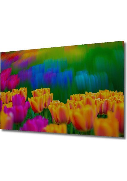Rüya Gibi Lale Bahçesi Yağlı Boya Görünümlü Dekoratif Ahşap Ev/işyeri/ofis Kare Tablo fiyatları
