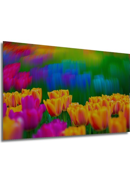 Rüya Gibi Lale Bahçesi Yağlı Boya Görünümlü Dekoratif Ahşap Ev/işyeri/ofis Kare Tablo modelleri