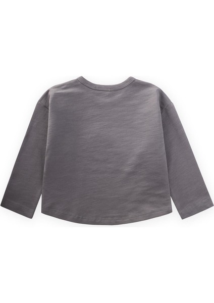 Nakışlı Sweatshirt 1-5 Yaş Gri fiyatları