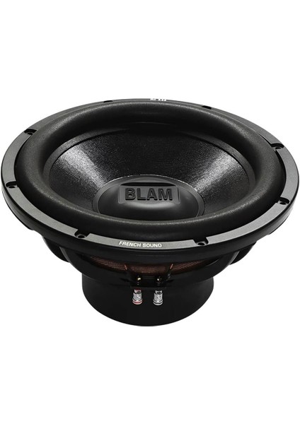 L30 Db Pro 12” Subwoofer | 800W Çift Bobin | 2x2 Ohm | Kapalı Kutu Uyumlu Bass