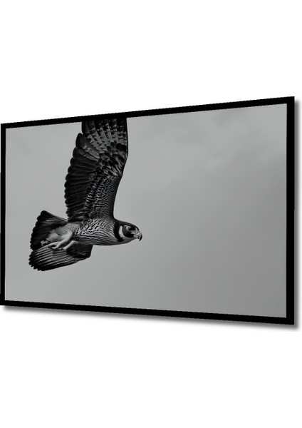Çerçeve Görünümlü Siyah Beyaz Şahin Uçuşu Dekoratif Ahşap Ev/işyeri/ofis Kare Tablo fiyatları