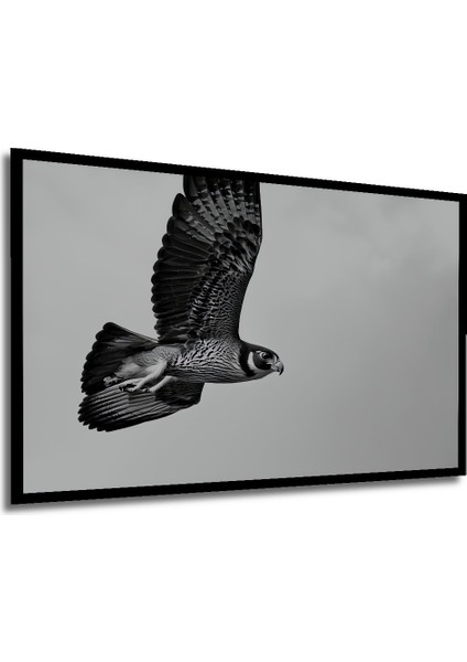 Çerçeve Görünümlü Siyah Beyaz Şahin Uçuşu Dekoratif Ahşap Ev/işyeri/ofis Kare Tablo modelleri