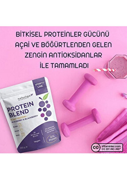 Berry Protein Karışımı 250 gr Vegan Antioksidan Zengini Acai ve Böğürtlen Aromalı Gıda Tozu modelleri