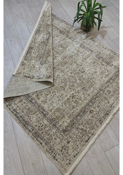 Monaliza Tozumaz Modaser Rengarenk Mekan Salon Oda Halısı modelleri