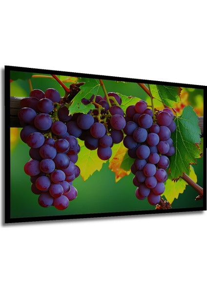 Çerçeve Görünümlü Mor Üzüm Bağbozumu Yağlı Boya Görünümlü Dekoratif Ahşap Ev/işyeri/ofis Kare Tablo modelleri