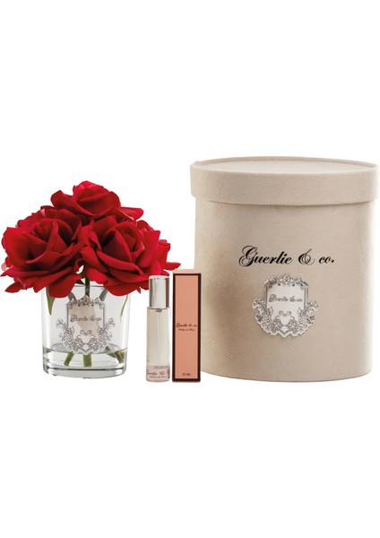 Kırmızı 5 Gül Gümüş fiyatları