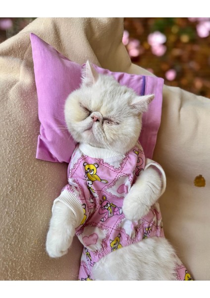 Toad Teddy Penye Kedi Tulum ve Yastık Takım Uyku Seti