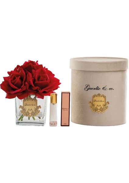 Guerlieandco. Bordo 5 Gül Kare Cam Gold fiyatları