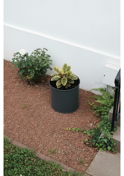 Zenith 30x30 cm Silindir Saksı - İç ve Dış Mekan Modern Metal Saksılık fırsatları