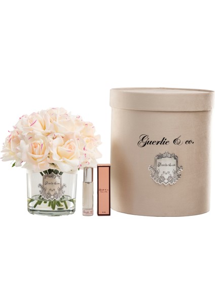 Krem Pembe 15 Gül Gümüş fiyatları