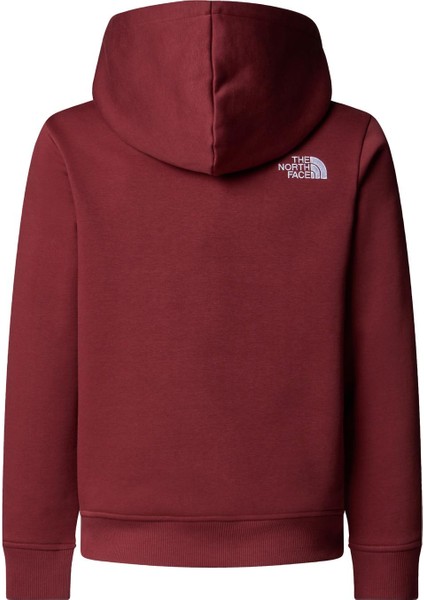Teen Drew Peak Pullover Hoodıe Çocuk Sweatshirt NF0A8EHH0VO1 fiyatları