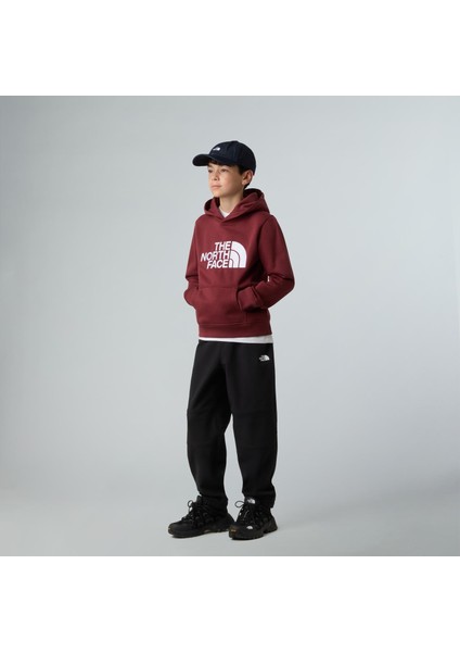 Teen Drew Peak Pullover Hoodıe Çocuk Sweatshirt NF0A8EHH0VO1 modelleri