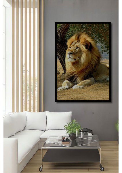 Çerçeve Görünümlü Aslanın Görkemli Bakışı Yağlı Boya Görünümlü Dekoratif Ahşap Ofis Kare Tablo