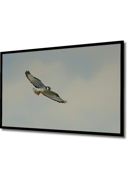 Çerçeve Görünümlü Gökyüzünde Süzülen Şahin Yağlı Boya Görünümlü Dekoratif Ahşap Ofis Kare Tablo fiyatları