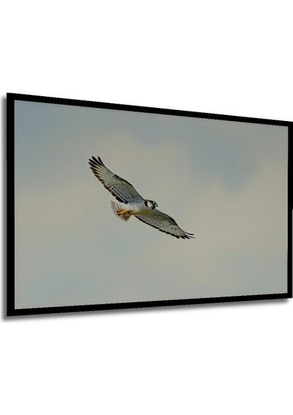 Çerçeve Görünümlü Gökyüzünde Süzülen Şahin Yağlı Boya Görünümlü Dekoratif Ahşap Ofis Kare Tablo modelleri