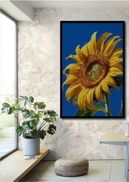 Çerçeve Görünümlü Gökyüzü Mavi Arka Planlı Yağlı Boya Görünümlü Ayçiçeği Ahşap Ofis Kare Tablo