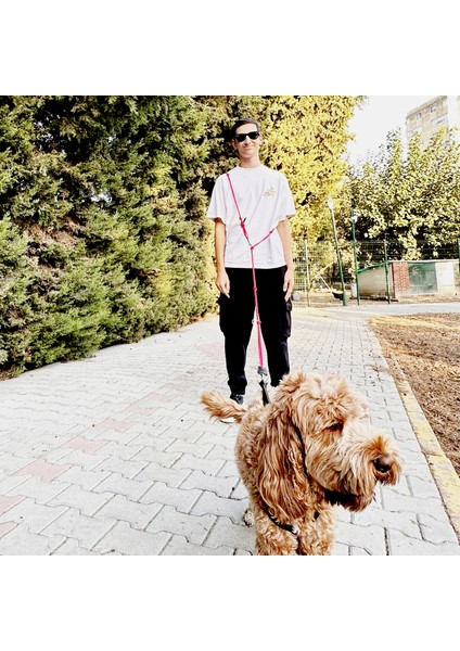 Petswuu Eller Serbest Hands Free Köpek Gezdirme Tasması