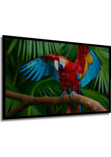 Çerçeve Görünümlü Tropikal Cennet Papağanı Yağlı Boya Görünümlü Dekoratif Ahşap Ofis Kare Tablo modelleri