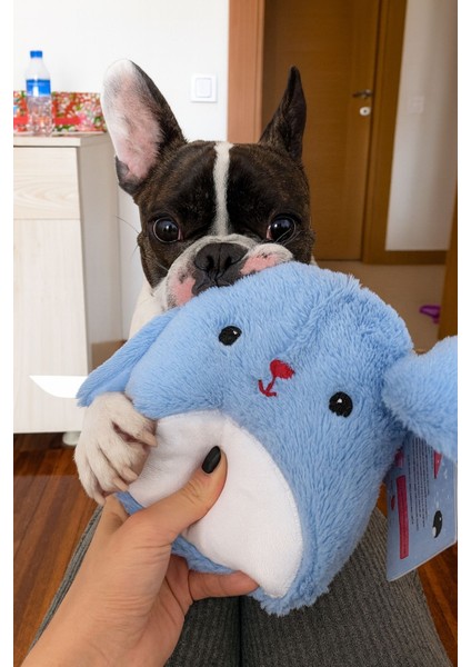 Peluş Tavşan Köpek Oyuncağı | Hışırtı Sesli Oyun Arkadaşı fiyatları