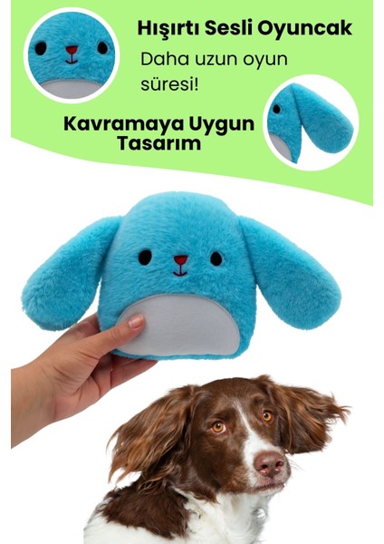 Peluş Tavşan Köpek Oyuncağı | Hışırtı Sesli Oyun Arkadaşı modelleri