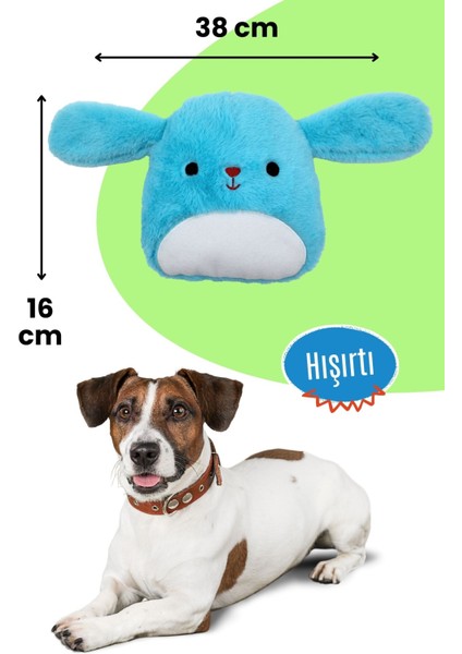 Peluş Tavşan Köpek Oyuncağı | Hışırtı Sesli Oyun Arkadaşı indirimleri