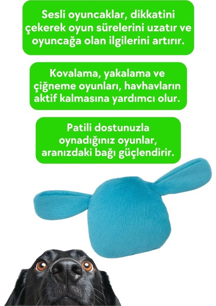 Peluş Tavşan Köpek Oyuncağı | Hışırtı Sesli Oyun Arkadaşı