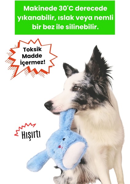 Peluş Tavşan Köpek Oyuncağı | Hışırtı Sesli Oyun Arkadaşı