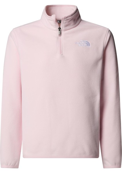Teen Glacıer 1/4 Zıp Pullover Genç Ceketi NF0A8CVGBP61