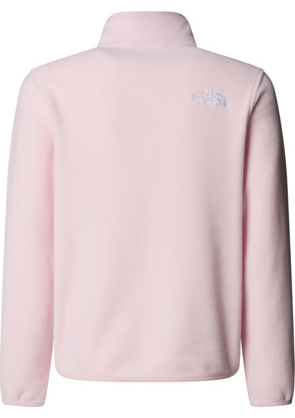 Teen Glacıer 1/4 Zıp Pullover Genç Ceketi NF0A8CVGBP61 fiyatları
