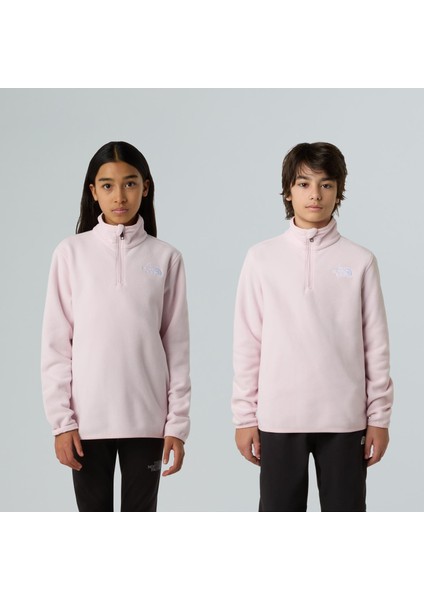 Teen Glacıer 1/4 Zıp Pullover Genç Ceketi NF0A8CVGBP61 modelleri