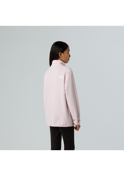 Teen Glacıer 1/4 Zıp Pullover Genç Ceketi NF0A8CVGBP61 indirimleri