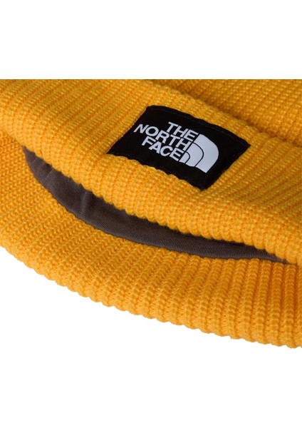 Salty Lıned Beanıe Unisex Bere NF0A8CGZ56P1 modelleri