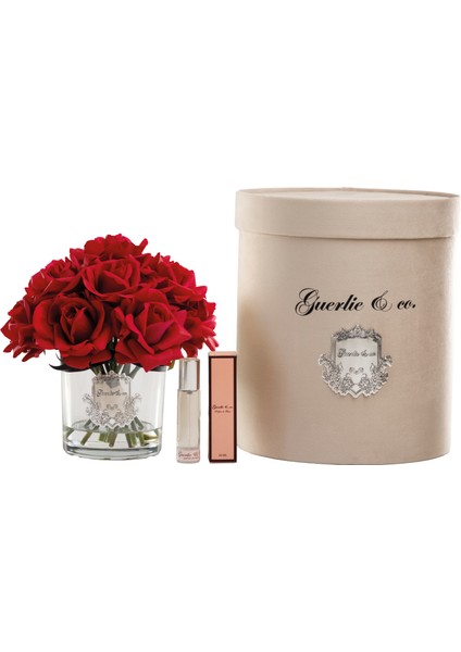 Kırmızı 15 Gül Gümüş fiyatları