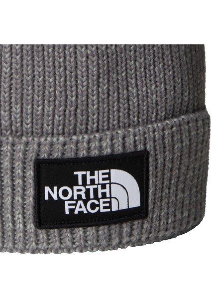 Tnf Logo Box Pom Beanıe Unisex Bere NF0A8CHFDYY1 fiyatları