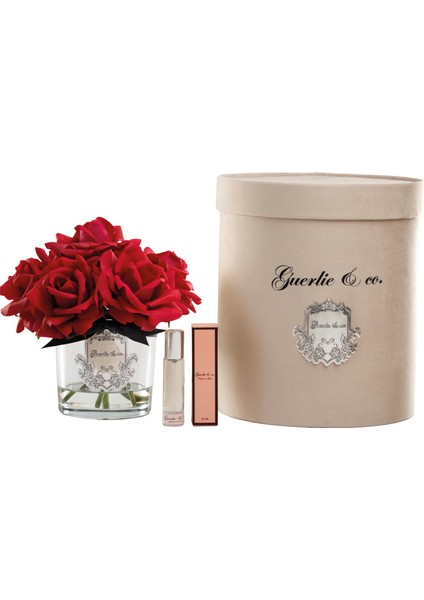 Kırmızı 7 Gül Gümüş fiyatları