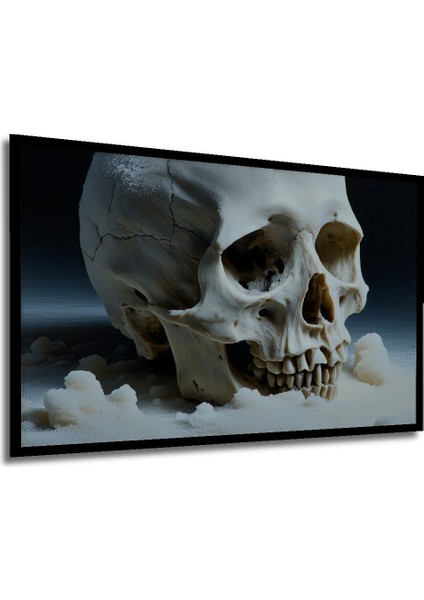 Çerçeve Görünümlü Buz Kristali Kaplı Kafatası Modern Sanat Dekoratif Ahşap Işyeri/ofis Kare Tablo modelleri