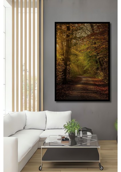 Çerçeve Görünümlü Güneş Işınlı Sonbahar Ormanı Yağlı Boya Görünümlü Dekoratif Ahşap Ofis Kare Tablo