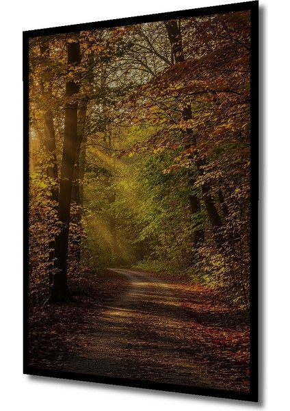 Çerçeve Görünümlü Güneş Işınlı Sonbahar Ormanı Yağlı Boya Görünümlü Dekoratif Ahşap Ofis Kare Tablo fiyatları