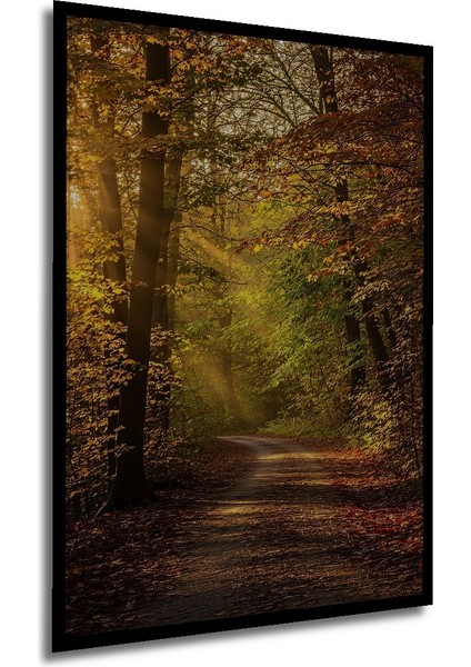 Çerçeve Görünümlü Güneş Işınlı Sonbahar Ormanı Yağlı Boya Görünümlü Dekoratif Ahşap Ofis Kare Tablo modelleri