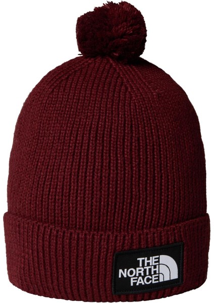 Tnf Logo Box Pom Beanıe Unisex Bere NF0A8CHF0VO1