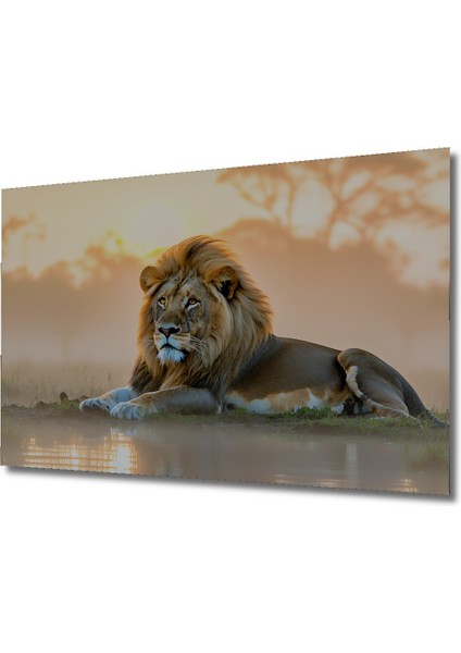 Güneşin Altında Aslan Yağlı Boya Görünümlü Dekoratif Ahşap Ev/işyeri/ofis Kare Tablo fiyatları